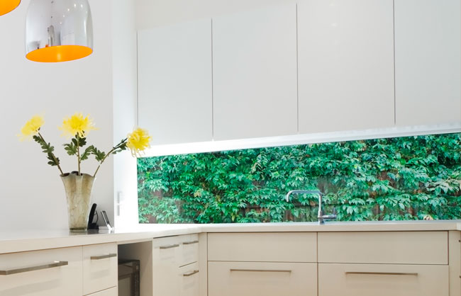 Glass Splashbacks